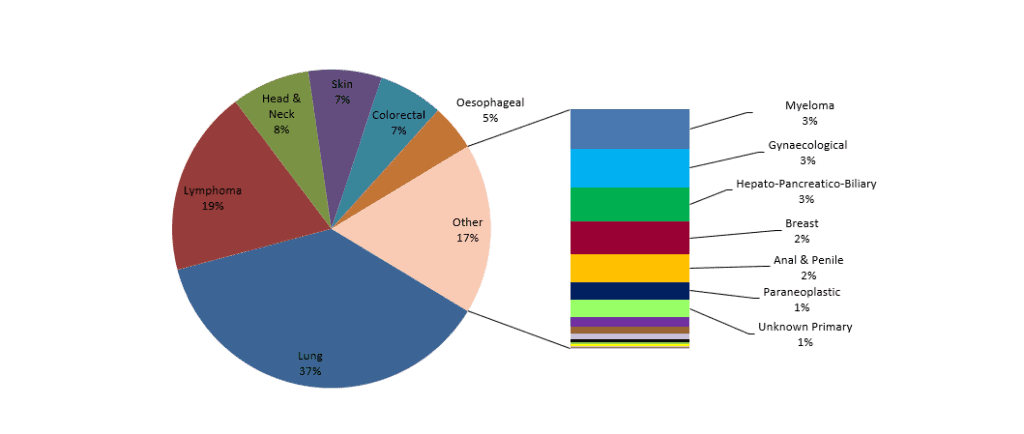 Pie chart showing Christie PET-CT scans percentage by cancer type