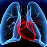 computer generated image of a heart